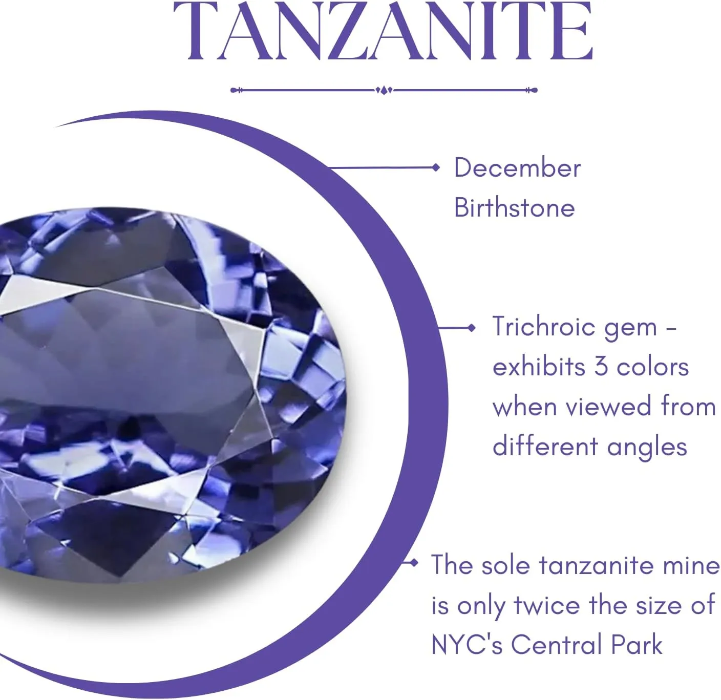 1Ct Genuine Tanzanite, Morganite, or Aquamarine Oval Shape Gemstone Band Ring | 925 Sterling Silver | Gemstone Rings for Women | Hidden Gems Jewelry | Size 5-10