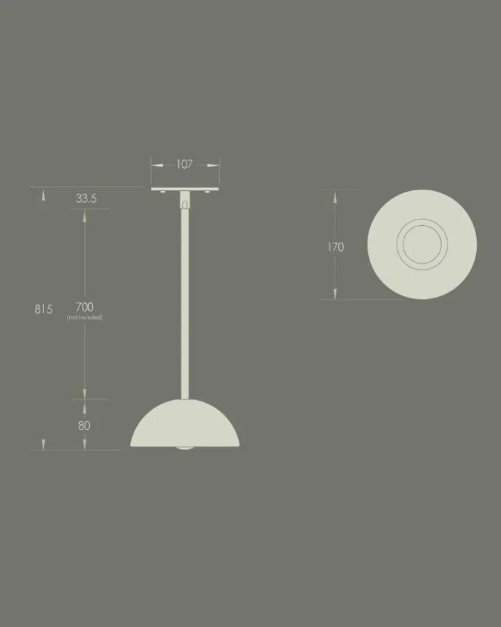 Cast Glass Rod Pendant | Aurelia